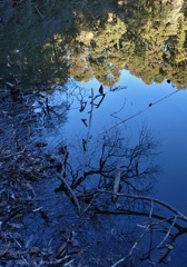 DSC00368a